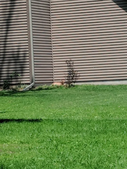 Grant's Vacation Park Picture 2