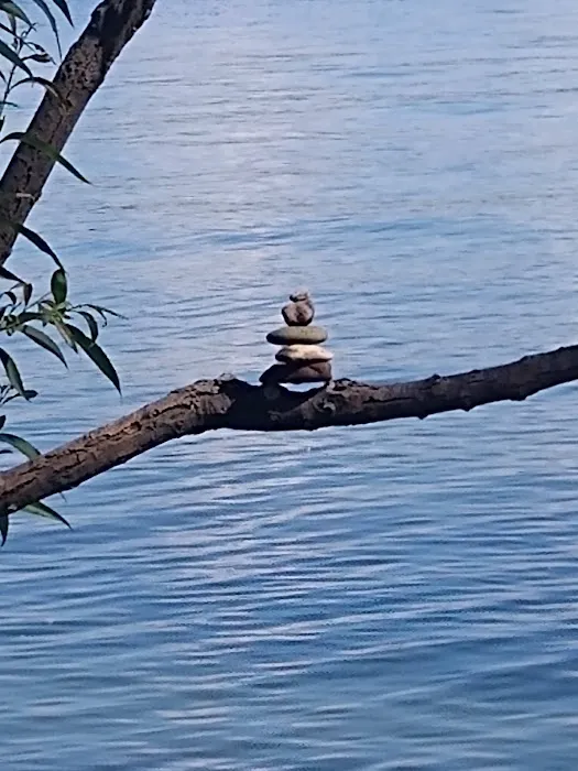 Grant's Vacation Park Picture 3