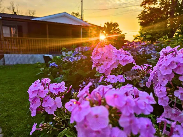 Shady Shores Campground Picture 9