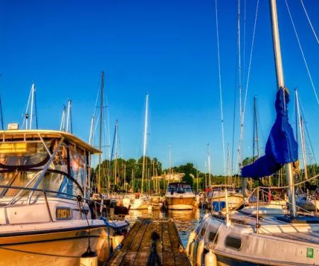Osprey - Fairpoint Marina