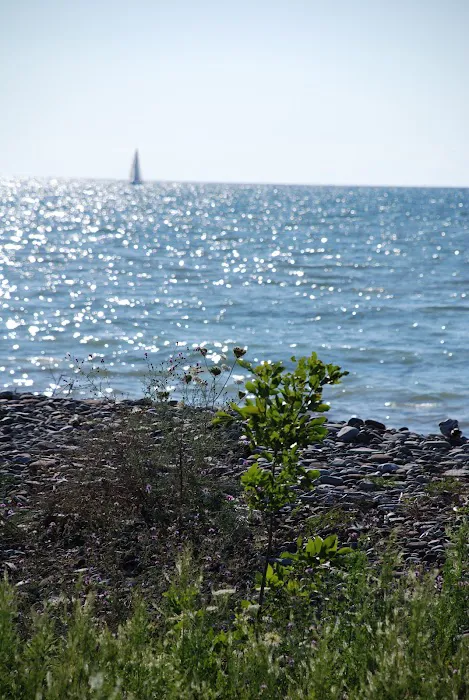 Osprey - Fairpoint Marina Picture 5