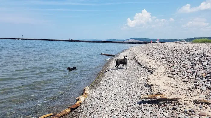Osprey - Fairpoint Marina Picture 3