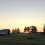 Davis Cabin - Justesen Ranch