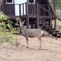 Brooks Memorial State Park Retreat Center ico