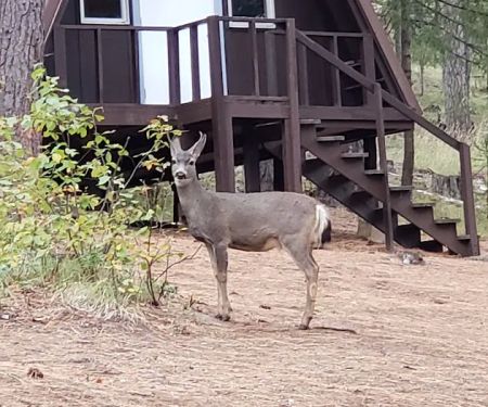 Brooks Memorial State Park Retreat Center