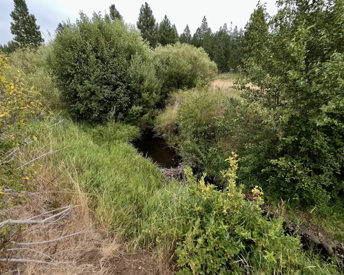 Brooks Memorial Group Campground Picture 3