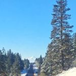 Brooks Memorial Group Campground