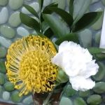 Sandy's Manufactured Home Community