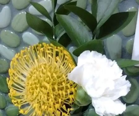 Sandy's Manufactured Home Community