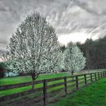 Bear Garden Mobile Home Park