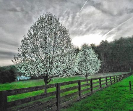 Bear Garden Mobile Home Park