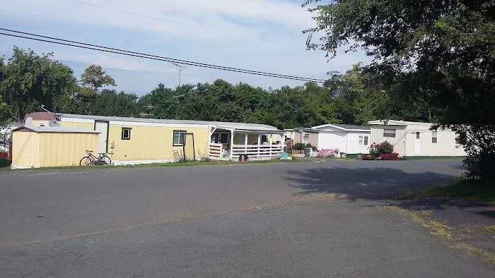 Trailer Park Picture 3