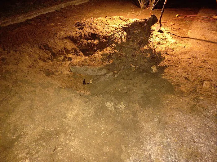 Scandia Park Picture 6