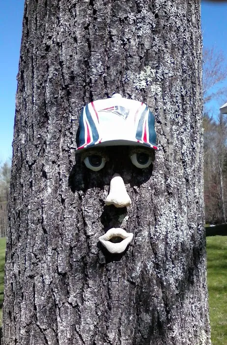 Scandia Park Picture 8