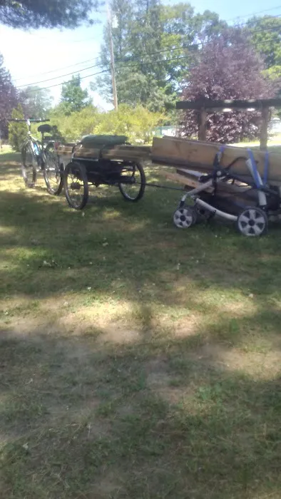 Scandia Park Picture 2