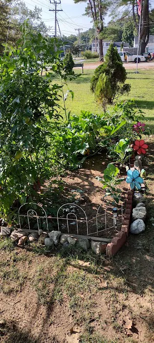 Scandia Park Picture 10