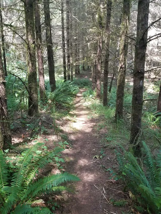 Metzler Park Recreation Site Picture 8