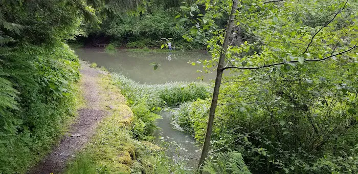 Promontory Park Campground Picture 5