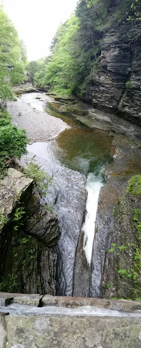 Meadowbrook Park Picture 1