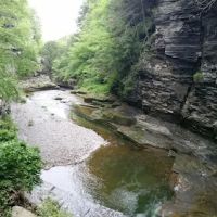 Meadowbrook Park ico