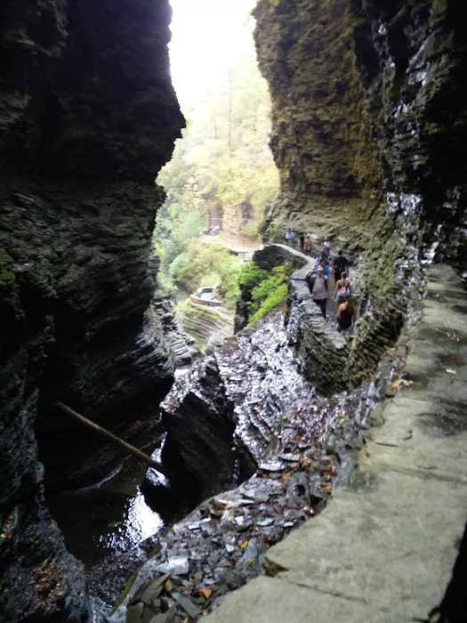 Meadowbrook Park Picture 6