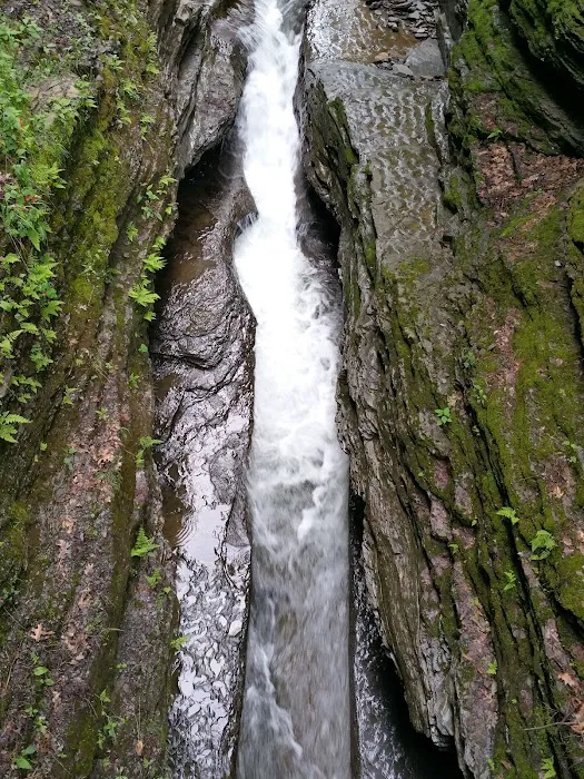 Meadowbrook Park Picture 5