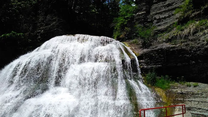 Meadowbrook Park Picture 8