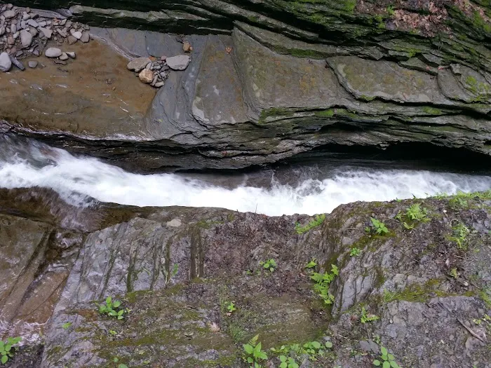 Meadowbrook Park Picture 7