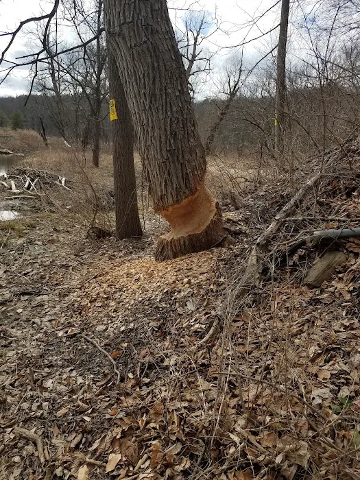 Meadowbrook Park Picture 3