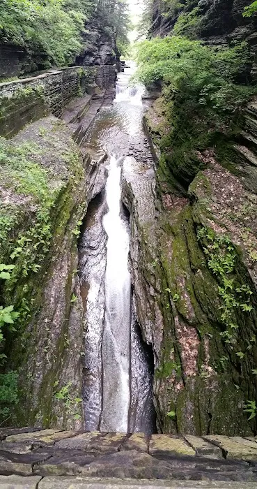 Meadowbrook Park Picture 9