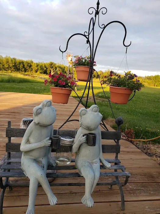 Miranda's Farm and recreation Picture 2