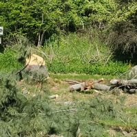 Valley Manor Mobile Home Park ico