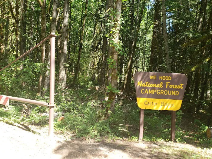 Carter Bridge Campground Picture 5