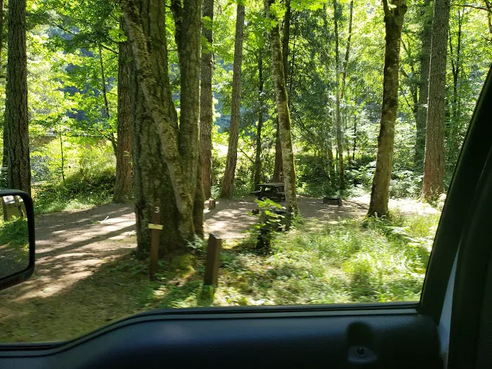 Carter Bridge Campground Picture 7