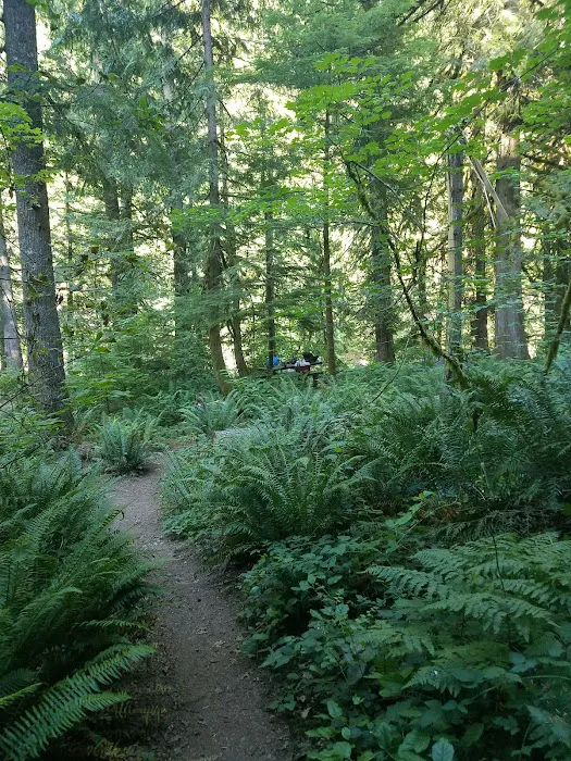 Lockaby Campground Picture 6