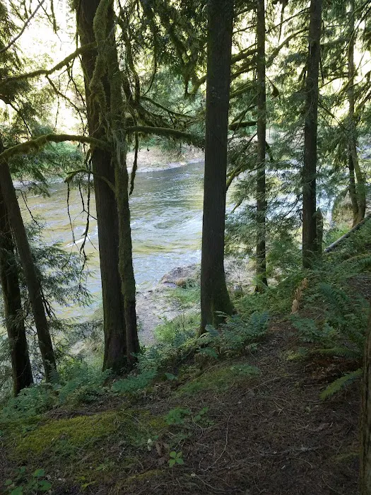 Lockaby Campground Picture 9