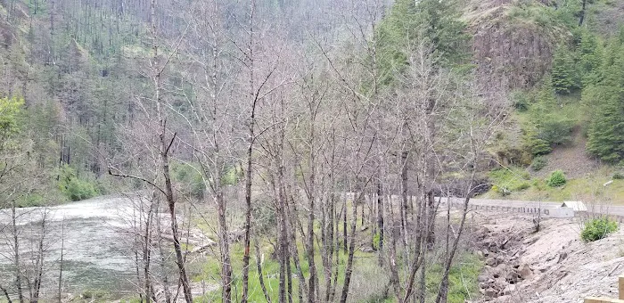 Fish Creek Campground Picture 4