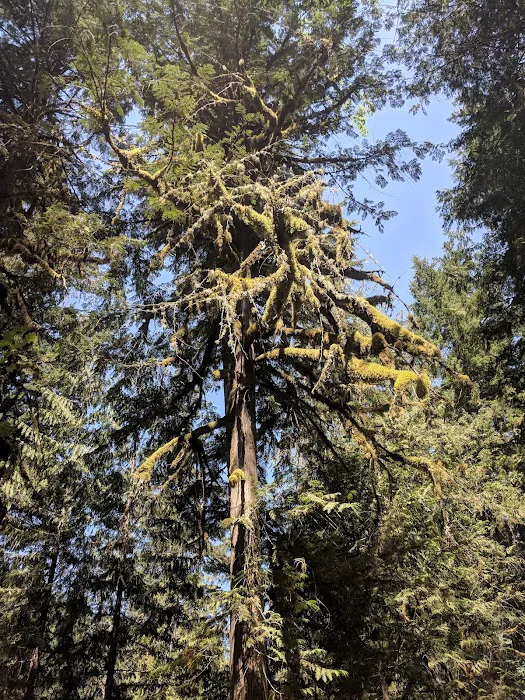 Fish Creek Campground Picture 9
