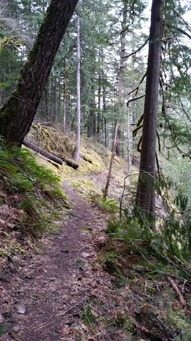 Roaring River Campground Picture 2