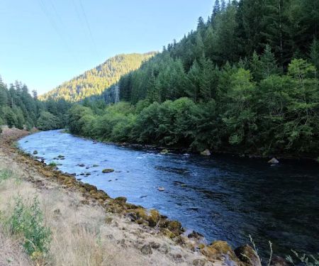 Roaring River Campground