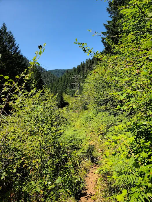 Roaring River Campground Picture 7