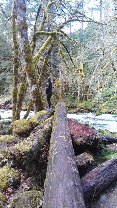 Roaring River Campground Picture 8