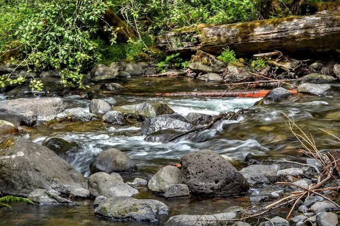 Roaring River Campground Picture 10