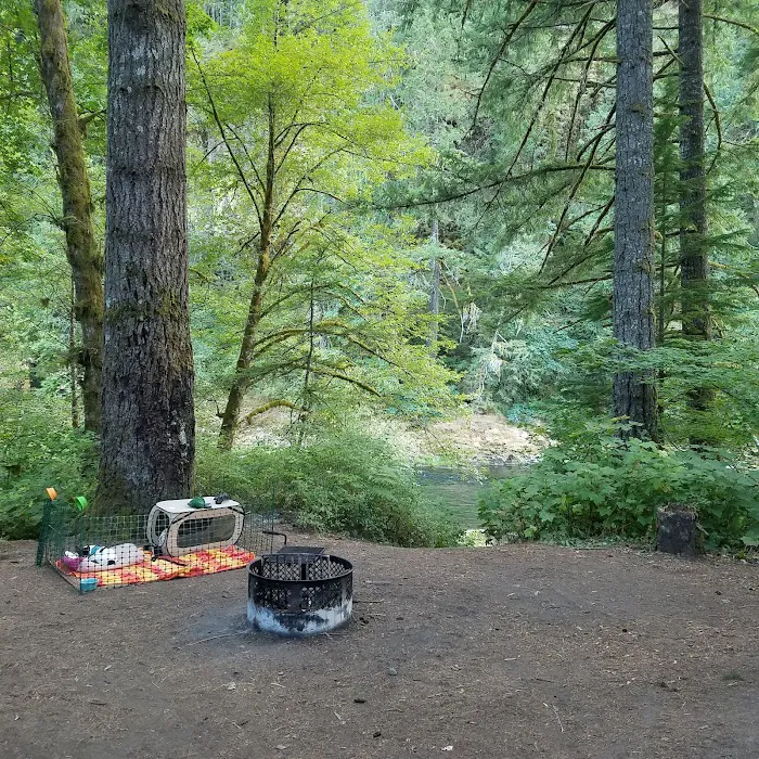 Sunstrip Campground Picture 3