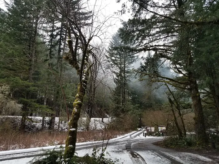 Sunstrip Campground Picture 10