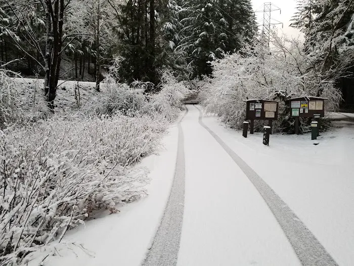 Sunstrip Campground Picture 8