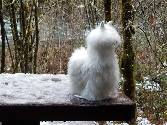 Sunstrip Campground Picture 7