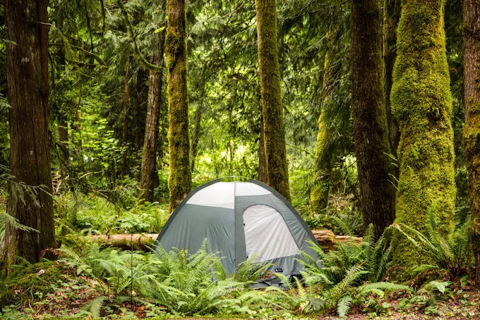 Mt. Hood Village Campground Picture 6