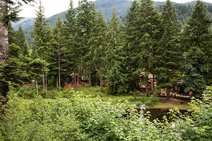 Mt. Hood Village Campground Picture 9