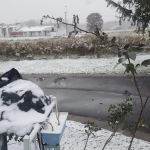 Friendly Village-Manchester Pk